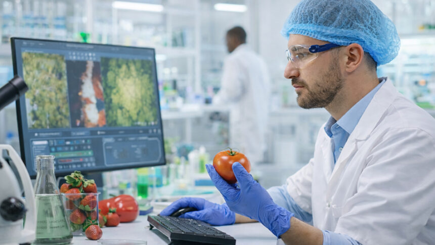 kontrola jakości żywności na linii produkcyjnej