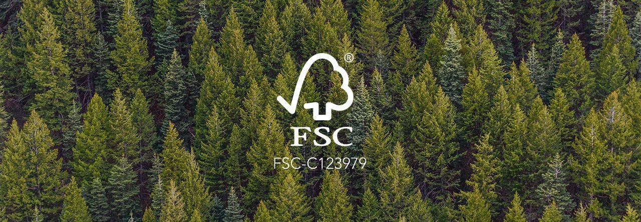 dzikie zwierzęta w lesie chronionym certyfikatem FSC