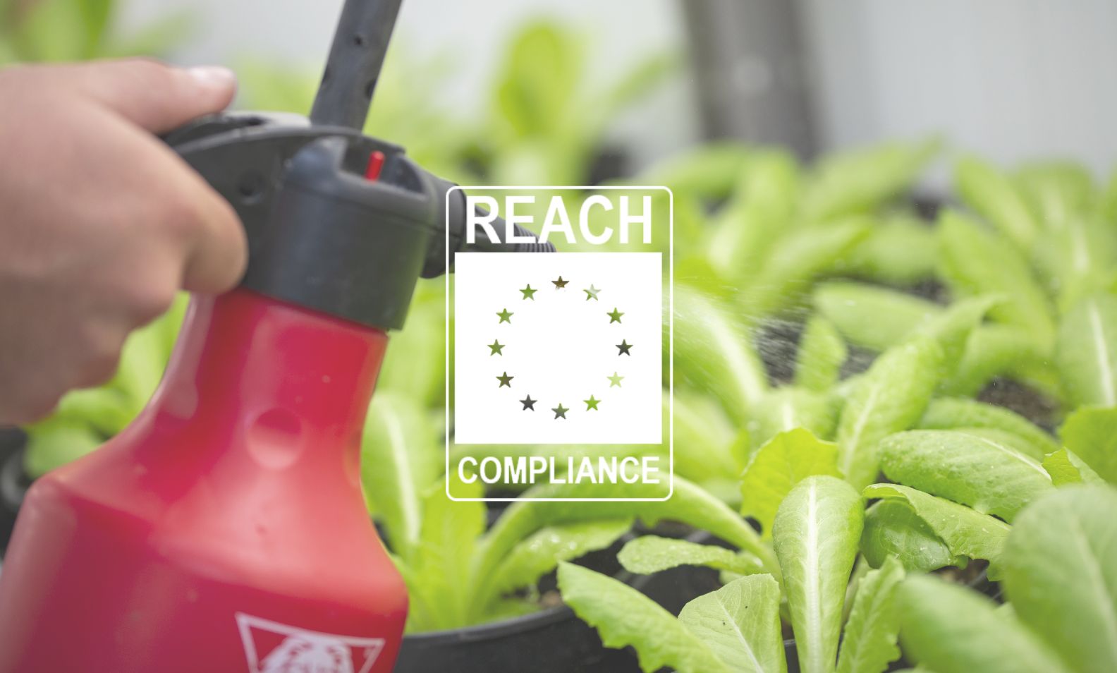 Producenci chemikaliów muszą rejestrować w ECHA substancje wytwarzane powyżej 1 tony rocznie